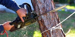 Mulching Services in Oak Brook, IL
