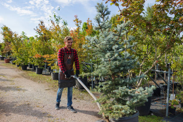 Best Lawn Watering Services  in Oak Brook, IL